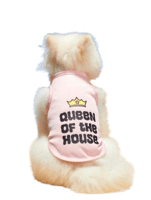 لبس بطباعة للقطط