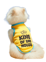 لبس بطباعة للقطط