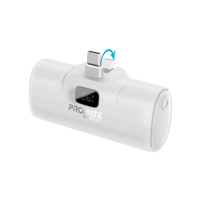 بطارية متنقلة ميني 5000 من بروميت - تايب سي