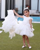 فستان الاميرات