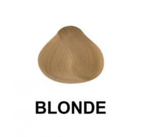 بخاخ صبغة الشعر ديكسون