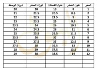 فستان فرنسي شتوي