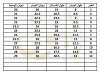 فستان سهرة شتوي