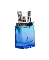 عطر شاليس رجالي 60مل