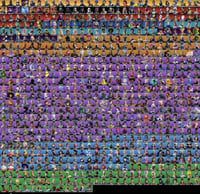 ايجار حفل جوردن الطيار حفل ملكي 851+ سكن ، 1151+ ر...