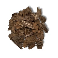 عود حي قواقع سوبر مرتفع مع دبل