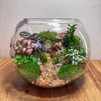 قرية الاقزام