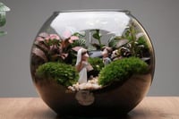 حديقه العرسان (صغير )