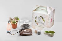 اصنع تيراريومك بنفسك