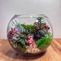 مبروك المولود* انثى* (وسط)