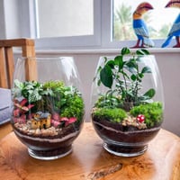 بكج رأس السنه