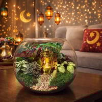 تيراريوم فانوس رمضان