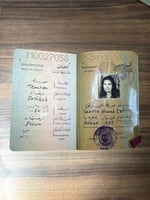 جواز سفر عراقي (عهد صدام حسين)