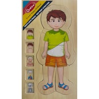 تركيبة اعضاء الجسم خشبية