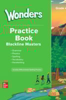 Reading Wonders Practice Book 2023 G04 (9781309132...