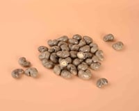 دراجيه كاجو اوريو