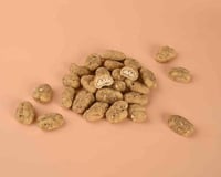 دراجيه بيكان تشيز الفستق