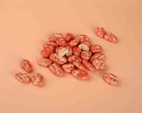 دراجيه بيكان فراولة