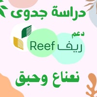 دراسة جدوى - نعناع وحبق