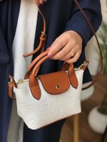 لويس فيتون ميني