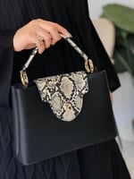 لويس فيتون ماستر