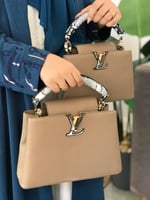 لويس فيتون ماستر