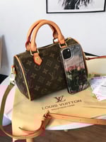 لويس فيتون ميني