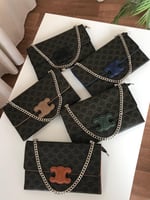 باوتش سيلين