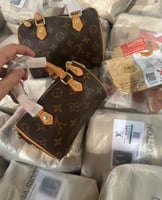 لويس فيتون سبيدي