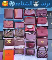 لون الشتاء البرقندي