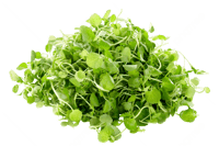 بكج 4 أعشاب + عود + زيت طبيعي + أدوات الخلط