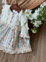 فستان مورد من0_3 الى 6_9 شهر مع قبعة فرنسية