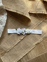 باند 5 الوان