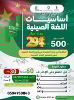 المستوى المتقدم في اللغة الصينية