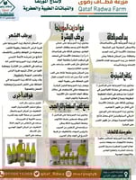 زيت المورينجا العضوي 250 مل