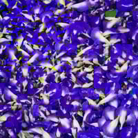 الشاي الأزرق