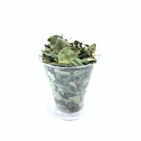 ورق سدر بلدي مجفف عضوي ١٠٠ جرام