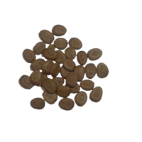 بذور شجرة اللبخ العملاق 20بذرة