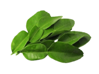 توليفة أوراق الحمضيات المجففة