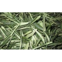 ورق زيتون عضوي مجفف حسب الوزن