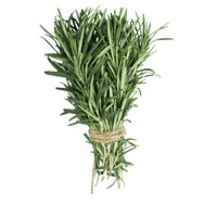 اكليل الجبل ( الروزماري) طازج