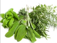 توليفة أعشاب عطرية للشاي