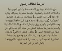 زيت المورينجا عضوي 1000 مل اطلبه الان