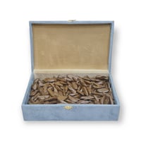 عود مروكي الخاص