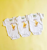 طقم الاشهر ثيم الاسد مع البالونه - Lion and Balloo...