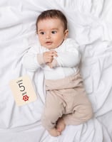 بطاقات مراحل النمو