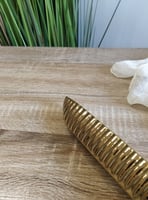 «صحن طويل ذهبي»