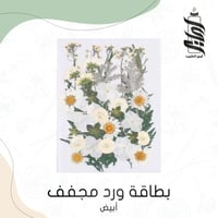 «بطاقة ورد مجفف أبيض»