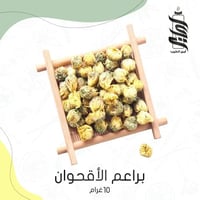 «براعم الاقحوان »