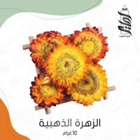 « الزهرة الذهبية»